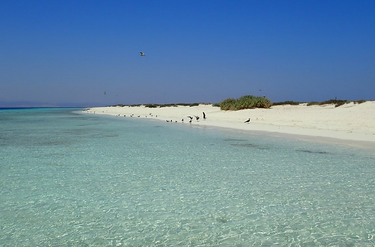 Qulaan Islands. Best beaches in Egypt