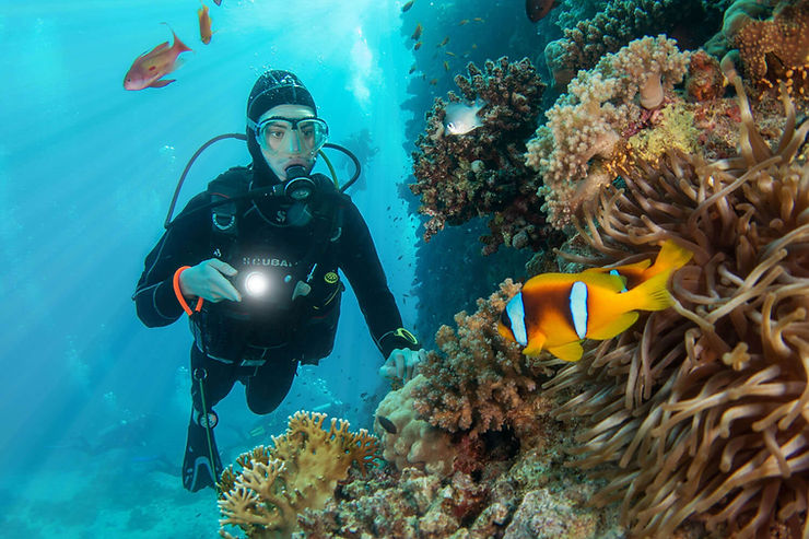 Safaga diving. 7 Best Diving Destinations in Egypt’s Red Sea For Divers Of All Levels