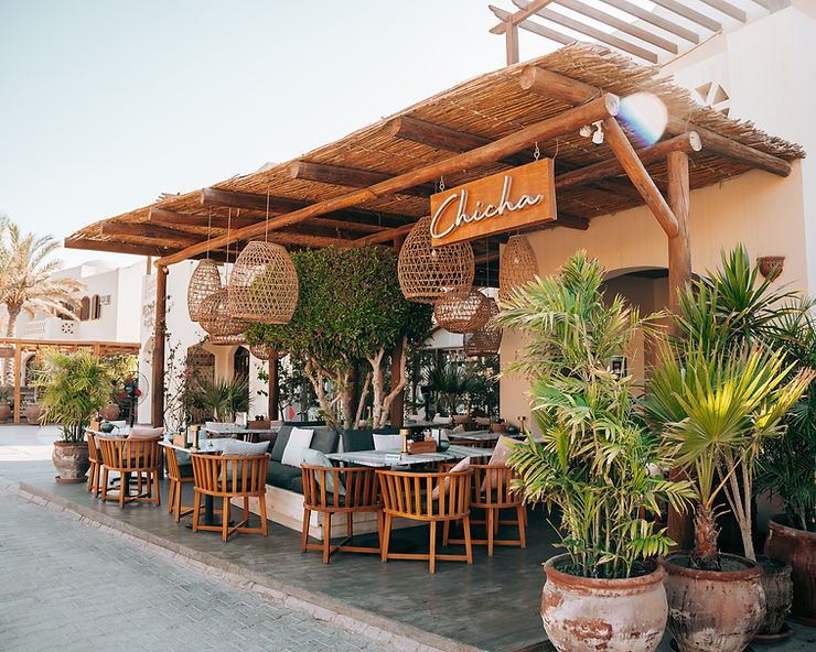 Chicha. Best Restaurants in El Gouna, Egypt